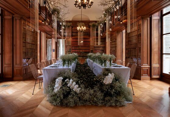 Amaryllis-expo Kasteel van Beloeil