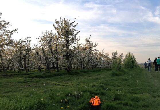 Sint-Truiden & fruitige vuurpottenwandeling