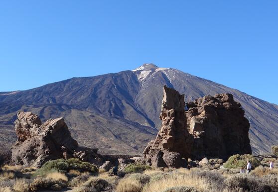 De Meibloem Tenerife