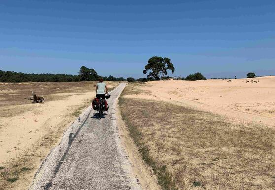 De Veluwe