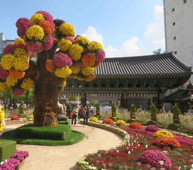 Amazing Zuid-Korea