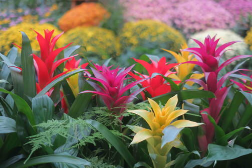 Amazing Zuid-Korea