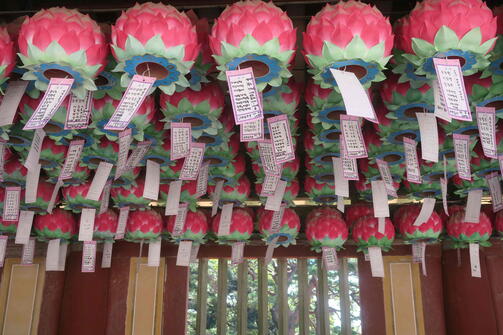 Amazing Zuid-Korea