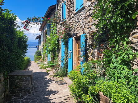 Haute Savoie
