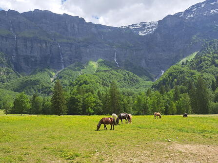 Haute Savoie