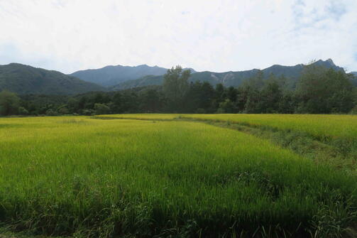 Amazing Zuid-Korea