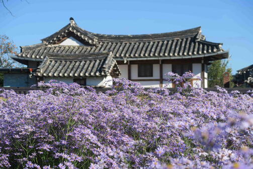 Amazing Zuid-Korea