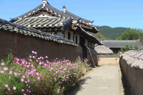 Amazing Zuid-Korea