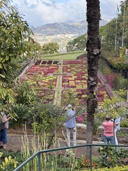 De Meibloem Madeira