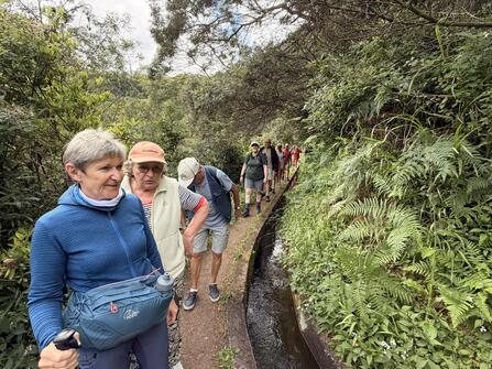 De Meibloem Madeira