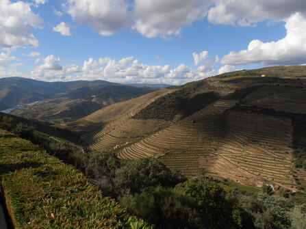 Riviercruise Douro