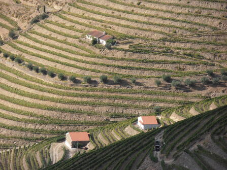 Riviercruise Douro