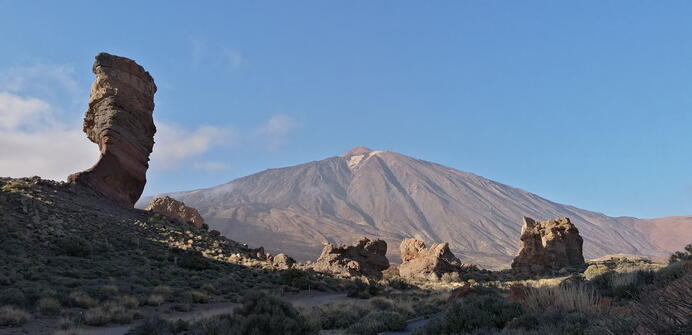 De Meibloem Tenerife