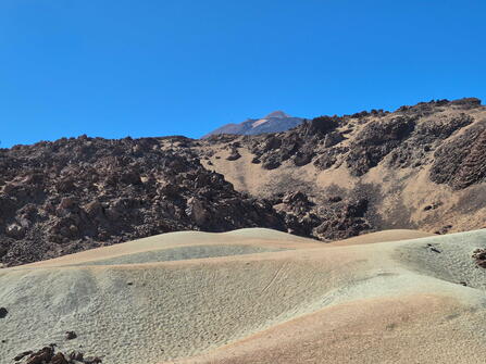 De Meibloem Tenerife