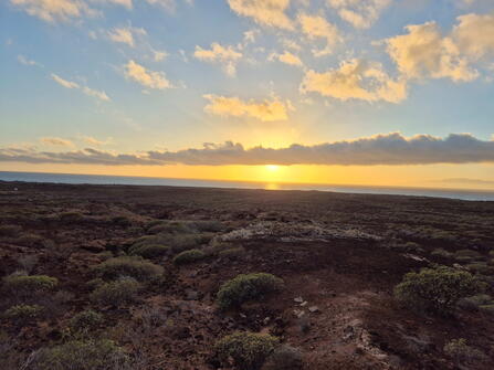 De Meibloem Tenerife